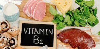 riboflavina vitamina b2