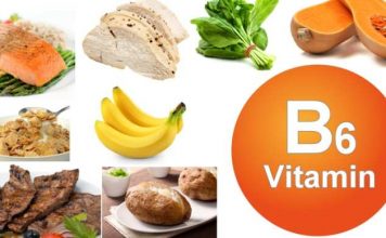 vitamina b6 piridoxina